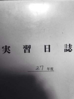 保育所実習Ⅰ期～～実習日誌の考察の書き方例⑥2~3歳児 | 保育士試験の音楽理論対策ブログ